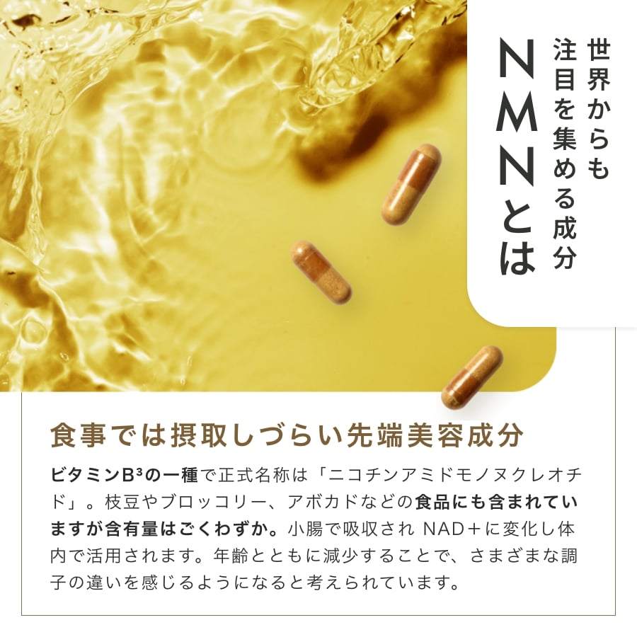 NMN+サイタイ, , large image number 5